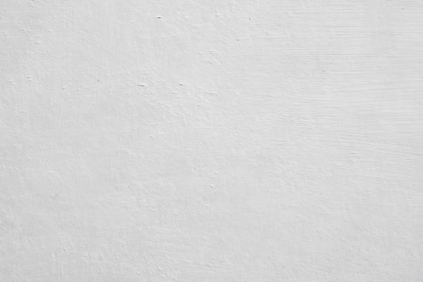 Professional Mold Removal in Corrigan, TX