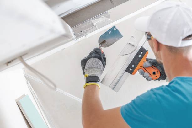 Best Environmental Consulting for Mold Prevention  in Corrigan, TX